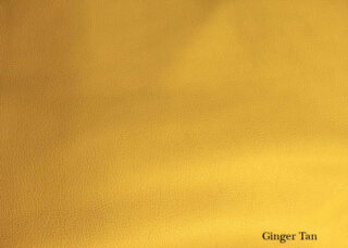 Color Swatch: Tan Ginger - Sample