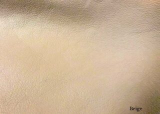 Color Swatch: Beige - Sample