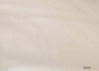 Color Swatch: Ivory - Sample