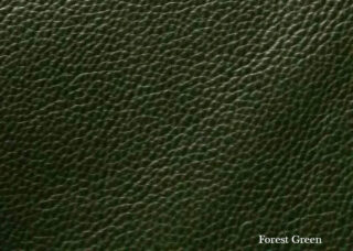 Color Swatch: Green Forest - Sample