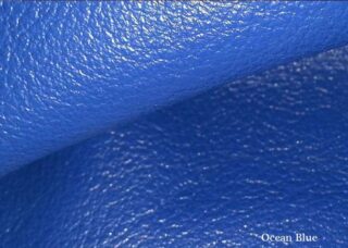 Color Swatch: Blue Ocean - Sample