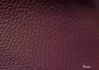 Color Swatch: Plum - Sample