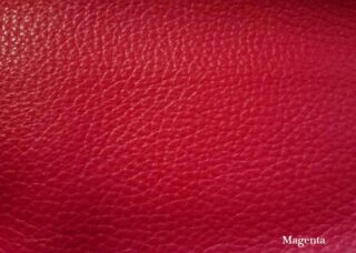 Color Swatch: Magenta - Sample