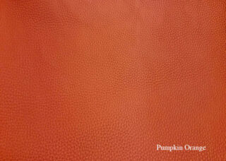 Color Swatch: Orange - Sample